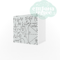 Полка 1 куб 38 попугаев "Ньютон Грэй" с фасадом, формулы, белая
