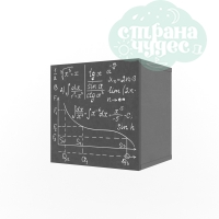 Полка 1 куб 38 попугаев "Ньютон Грэй" с фасадом, формулы